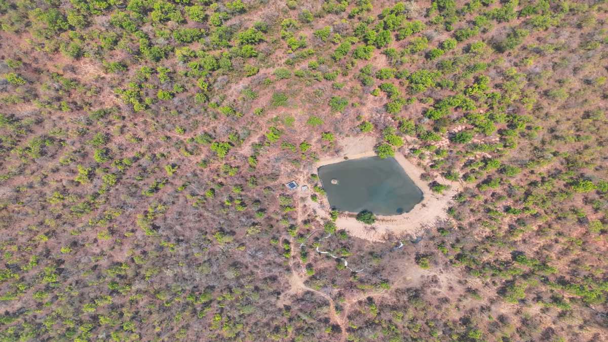 छत्तीसगढ़ का टाइगर रिजर्व बना देशभर में मिसाल : ‘फायर-वॉटर’ मॉडल बना ढाल, 143 बीट और 750 जल स्रोत से जंगल सुरक्षित, हाईटेक निगरानी से थमा संघर्ष, लगातार 3 साल ZERO हताहत