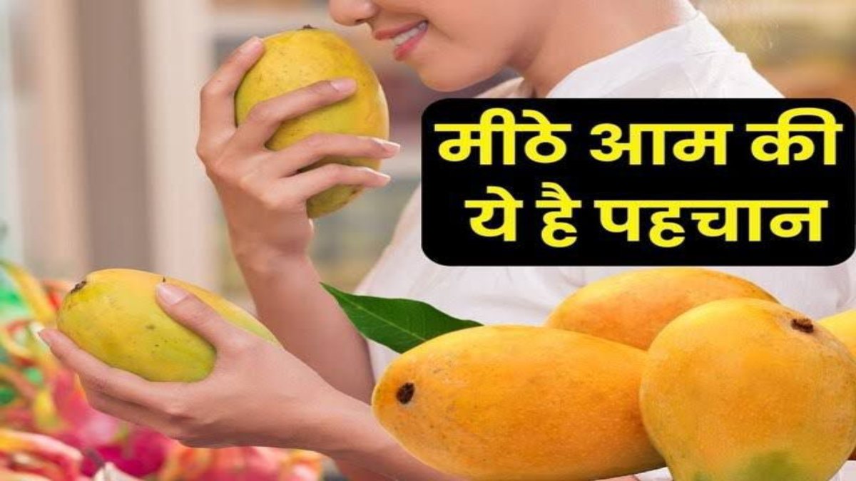 मीठा और ताजा आम कैसे चुनें ? इन छोटी-छोटी बातों का रखें ध्यान
