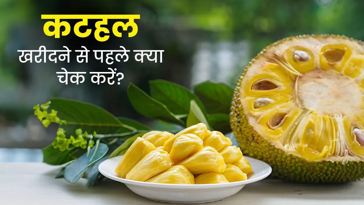कटहल खरीदते समय न करें ये गलतियां, जानें कैसे पहचानें ताजा और कच्चा कटहल