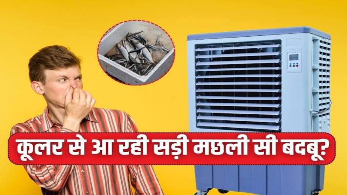 कूलर चलाते ही आती है आती है मछली जैसी बदबू, इन तरीकों से पाएं राहत …