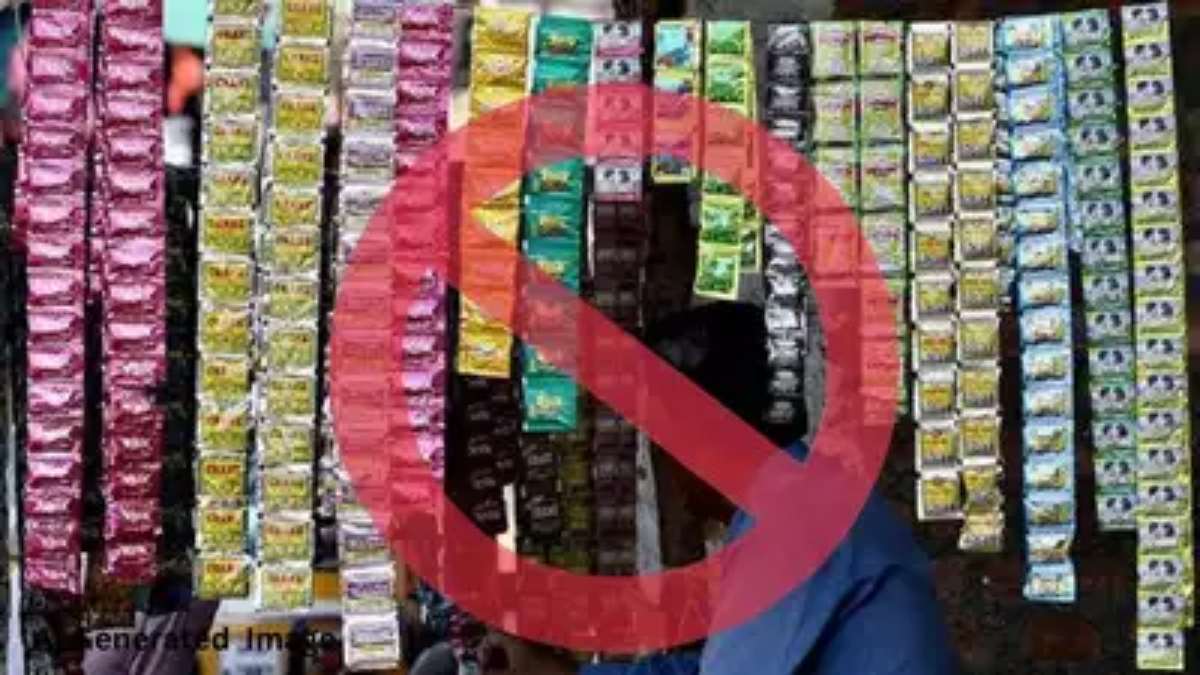 प्लास्टिक पैकेट में नहीं मिलेगा पान मसाला! सरकार ने ड्राफ्ट सार्वजनिक कर मांगा सुझाव