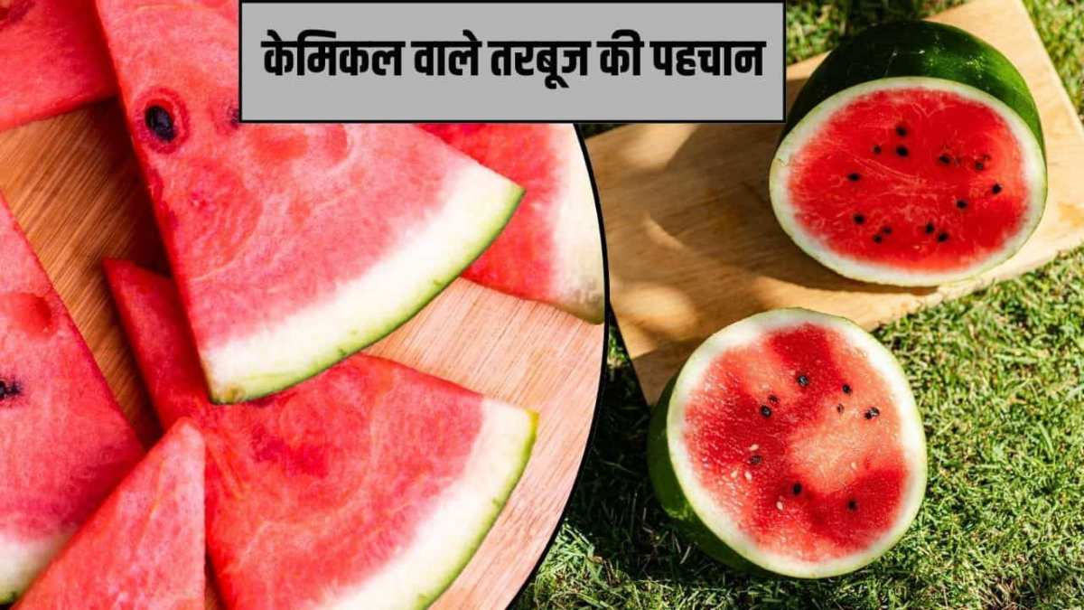 केमिकली पके तरबूज से रहें सावधान, गर्मियों में ऐसे करें सही फल की पहचान …