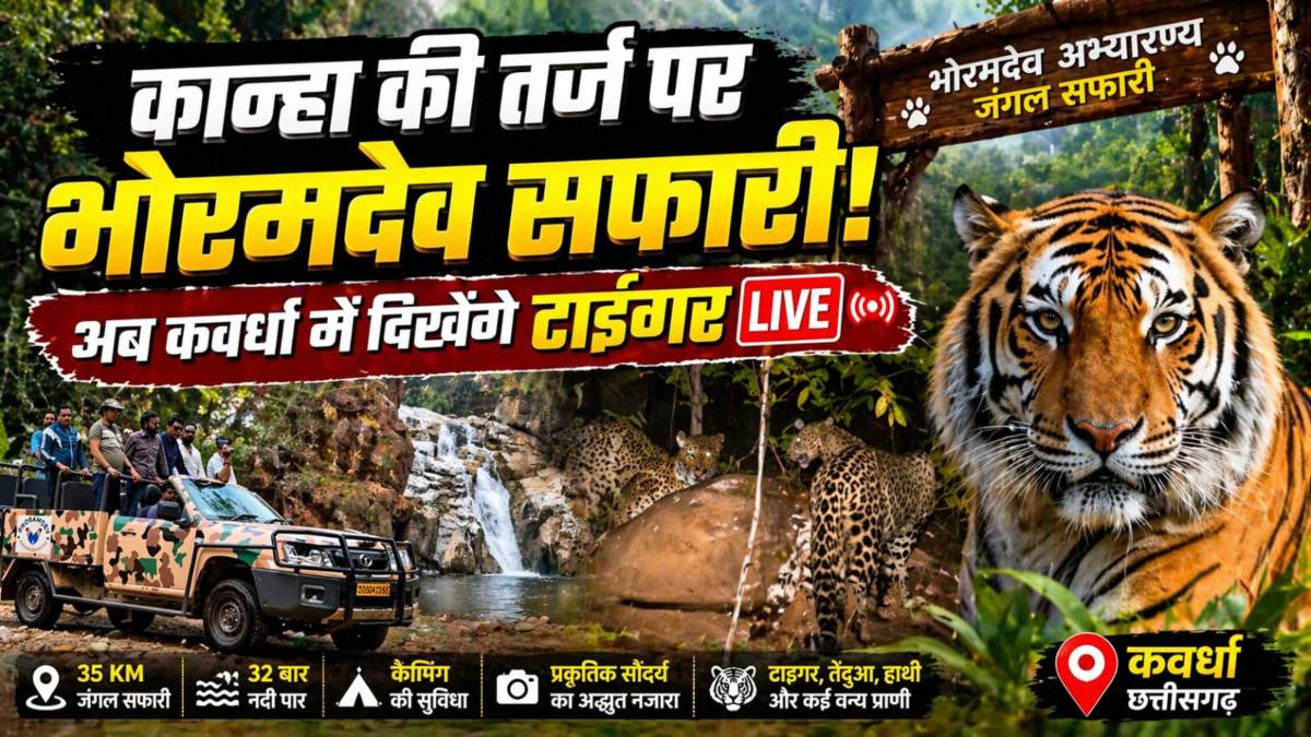 कवर्धा में जल्द शुरू होगी जंगल सफारी : 35 किमी सफारी रूट तैयार, 22 बार पार करना पड़ेगा नदी, जानिए यहां की खासियत…