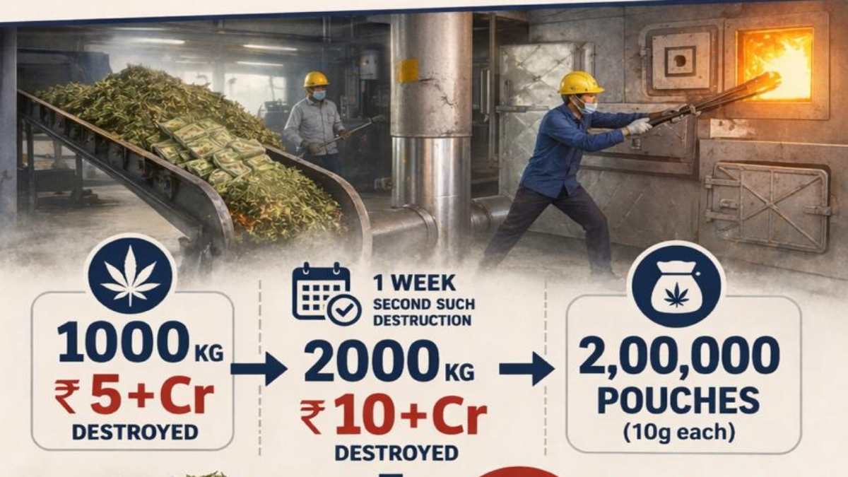 5 करोड़ का गांजा नष्ट, एक हफ्ते के भीतर 10 क्विंटल की दूसरी खेप का हुआ नष्टीकरण