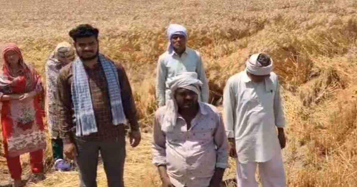 ये तो सरासर गुंडागर्दी है! गांव वालों ने फसल काटने से रोका, पीड़ित ने लगाई न्याय की गुहार