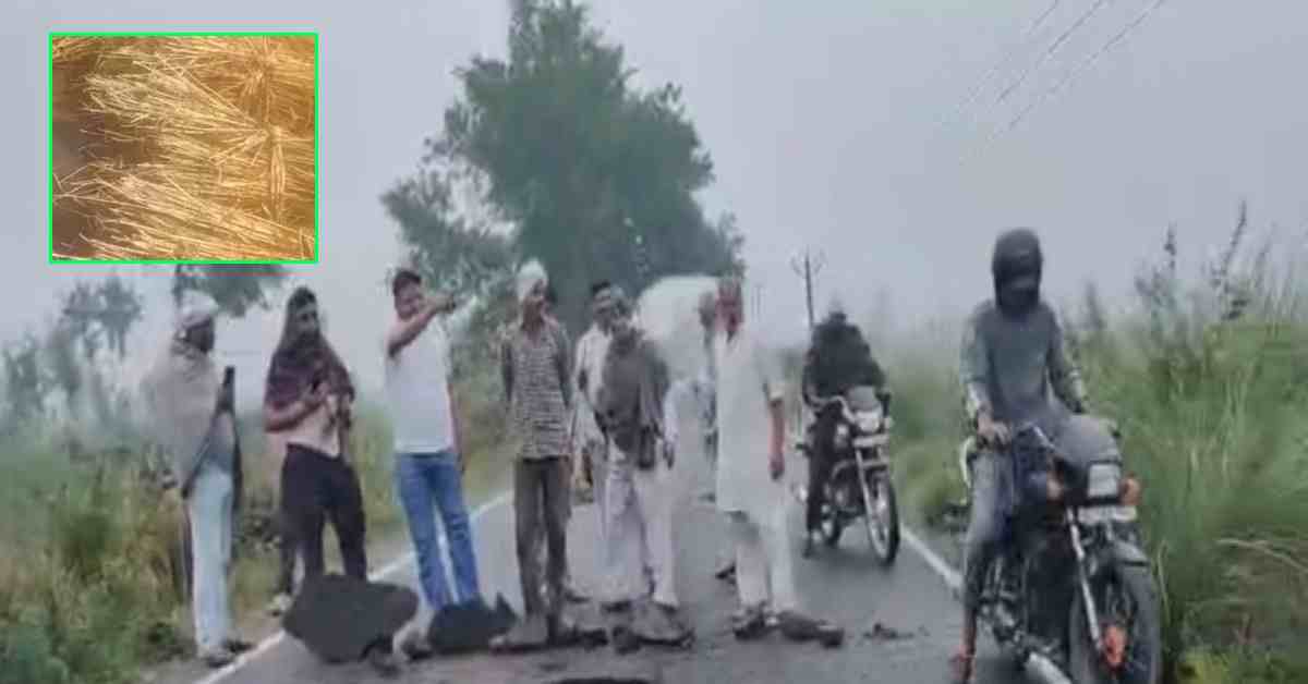 रातों-रात टूटी नहर, खेत बने तालाब… मुजफ्फरनगर में किसानों की फसलें तबाह ,क्षेत्र में चिंता और आक्रोश का माहौल