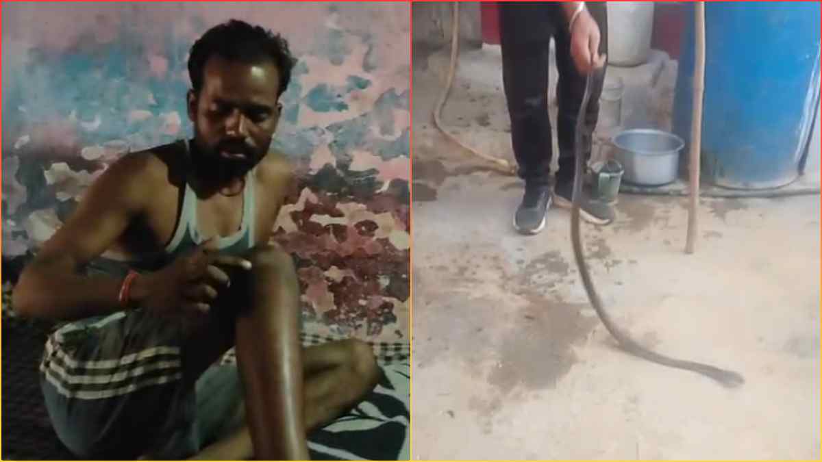 रात के अंधेरे में चुपके से आया सांप, सो रहे शख्स के पैर में 3 बार काटा, जनपद सदस्य ने कलेक्टर से की ये मांग 