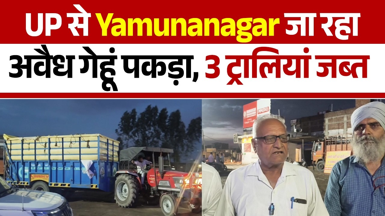 छछरौली मंडी के पास 200 क्विंटल अवैध गेहूं पकड़ा, फर्जी नंबर प्लेट वाला ट्रैक्टर जब्त, ड्राइवर फरार