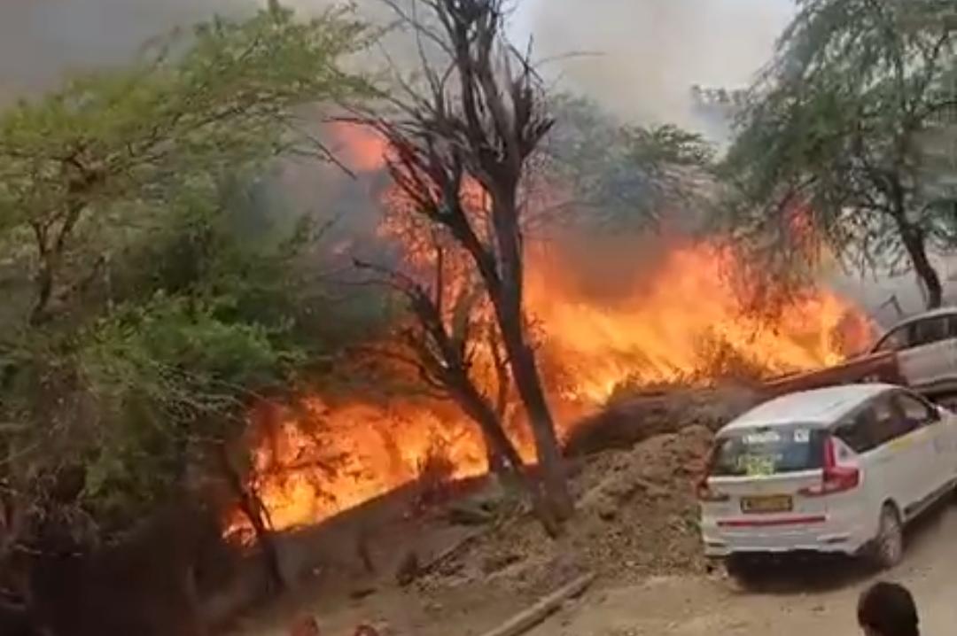 नूंह के केराका गांव में आग का कहर: भूसा राख, भैंस की दर्दनाक मौत, अर्टिगा गाड़ी भी जली