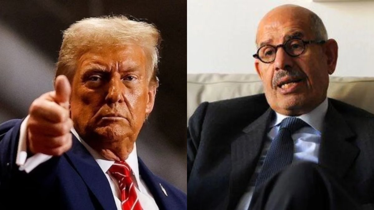 ‘इस पागल इंसान को रोकें…’, ट्रंप की 48 घंटे वाली धमकी पर फ्रांस-रूस-चीन से बोले अंतरराष्ट्रीय परमाणु ऊर्जा एजेंसी के पूर्व अफसर