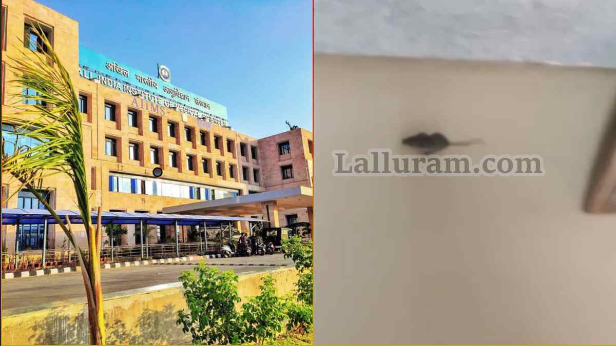 AIIMS के NICU में चूहों का आतंक: धमाचौकड़ी से खतरे में नवजात बच्चों की जान, Video Viral 