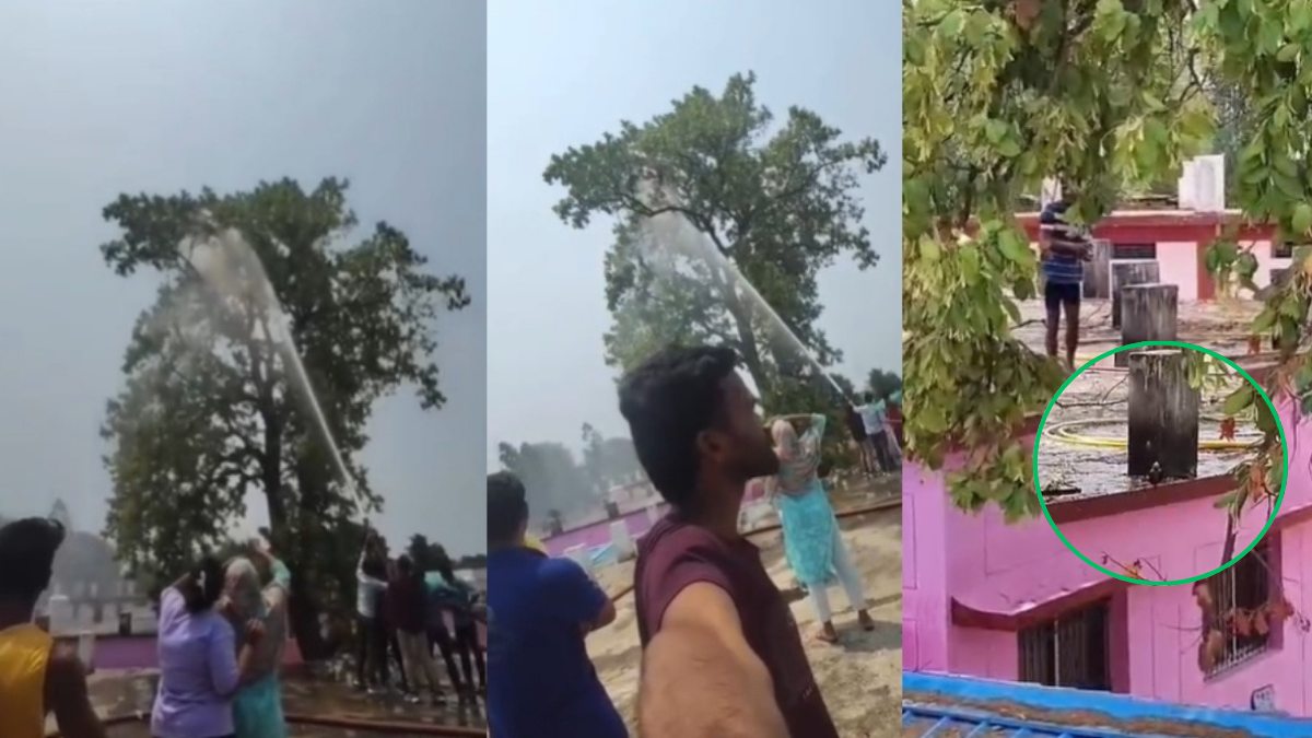 अजब-गजब कारनामा : पेड़ पर बैठे पालतू तोते को पकड़ने पहुंची फायर ब्रिगेड की टीम, हजारों लीटर पानी का दुरुपयोग, देखें Video …