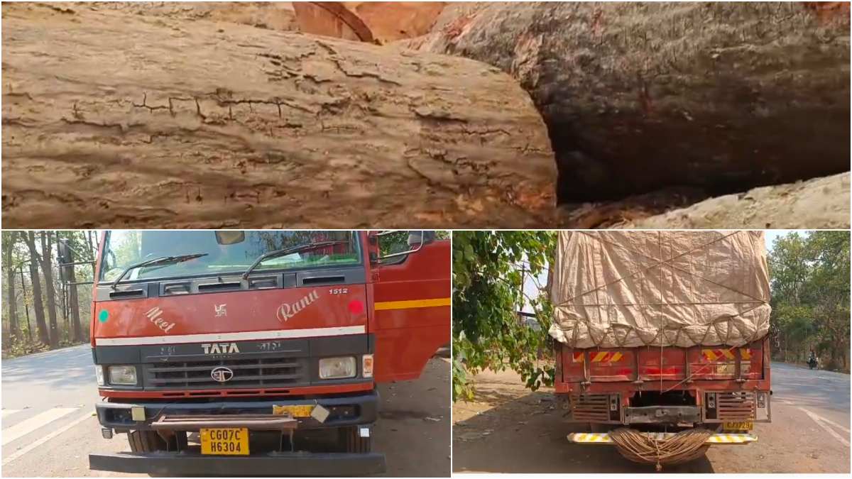 वन विभाग की मेहरबानी! आम और सेमल की तस्करी में शामिल गाड़ियों को बिना कार्रवाई के छोड़ा, SDO की भूमिका पर सवाल