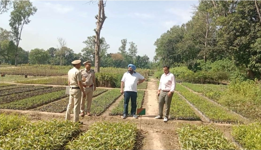 यमुनानगर में वन विभाग सख्त: जंगलों व नर्सरियों का गहन निरीक्षण, अवैध कटान-खनन पर कार्रवाई के निर्देश
