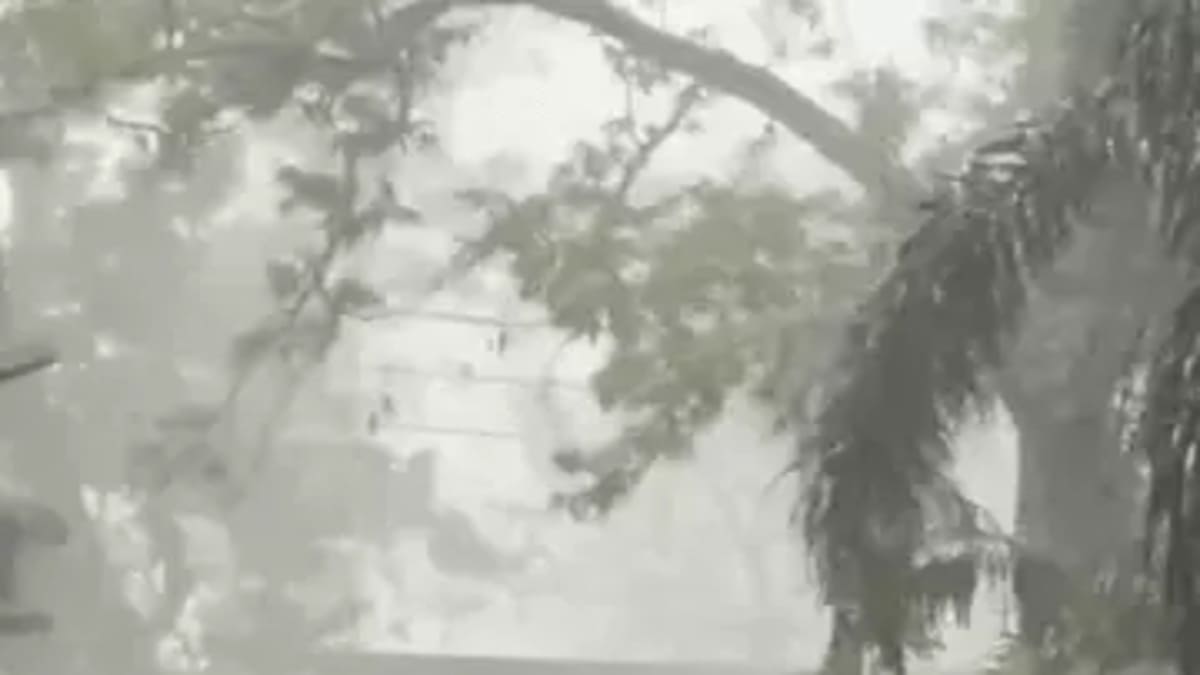 गर्मी से राहत या आफत? पटना में तेज आंधी के साथ गिरे ओले, दीवार ढही और पेड़ उखड़े, 14 जिलों में अलर्ट जारी