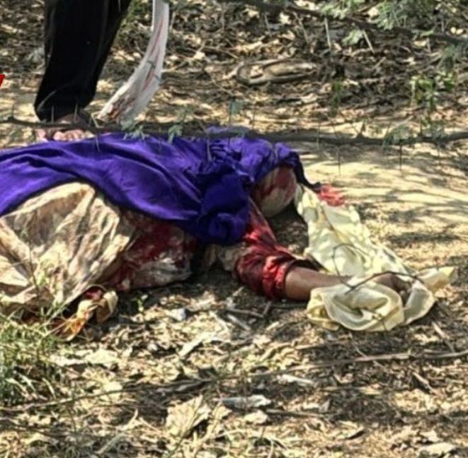 डबवाली में भीषण सड़क हादसा, महिला की दर्दनाक मौत, कई घायल