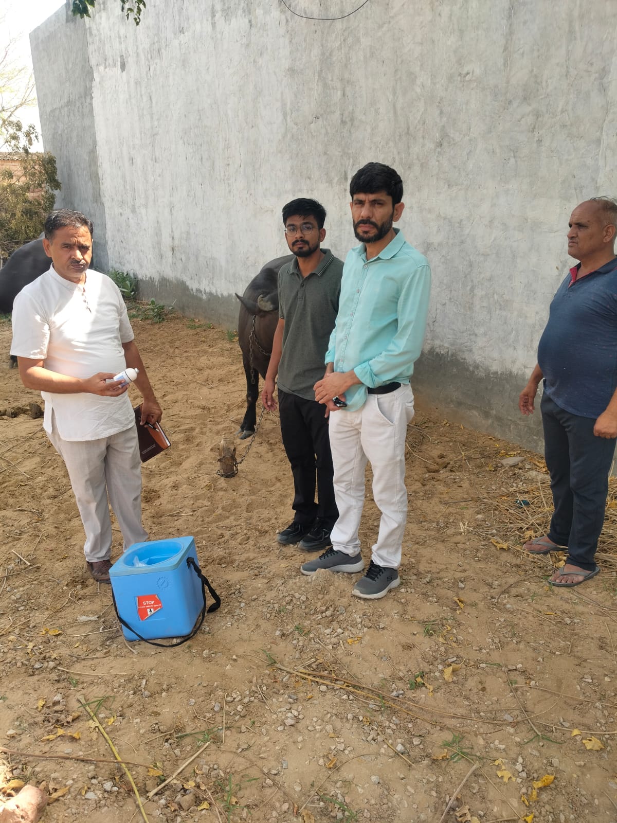 पशुपालक ध्यान दें: मुंहखुर और गलघोटू से मवेशियों को बचाने के लिए घर-घर पहुंच रही टीम, टीका है पूरी तरह सुरक्षित