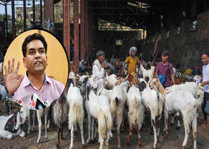 दिल्ली में बकरीद को लेकर सरकार सख्त, प्रतिबंधित पशुओं की कुर्बानी पर रोक, जारी की गाइडलाइन