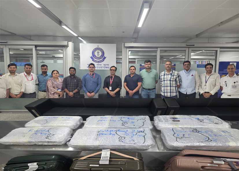 Delhi Airport Drug Bust: IGI एयरपोर्ट पर 48 करोड़ का हाइड्रोपोनिक गांजा जब्त, 2 थाई नागरिक गिरफ्तार