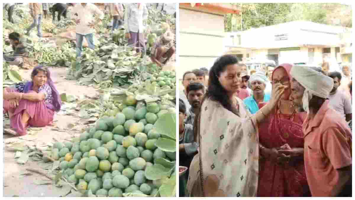 आलीराजपुर में आम की बहार: पहली बोली के साथ मंडी में शुरू हुआ सीजन, कलेक्टर ने किसान का तिलक लगाकर किया स्वागत 