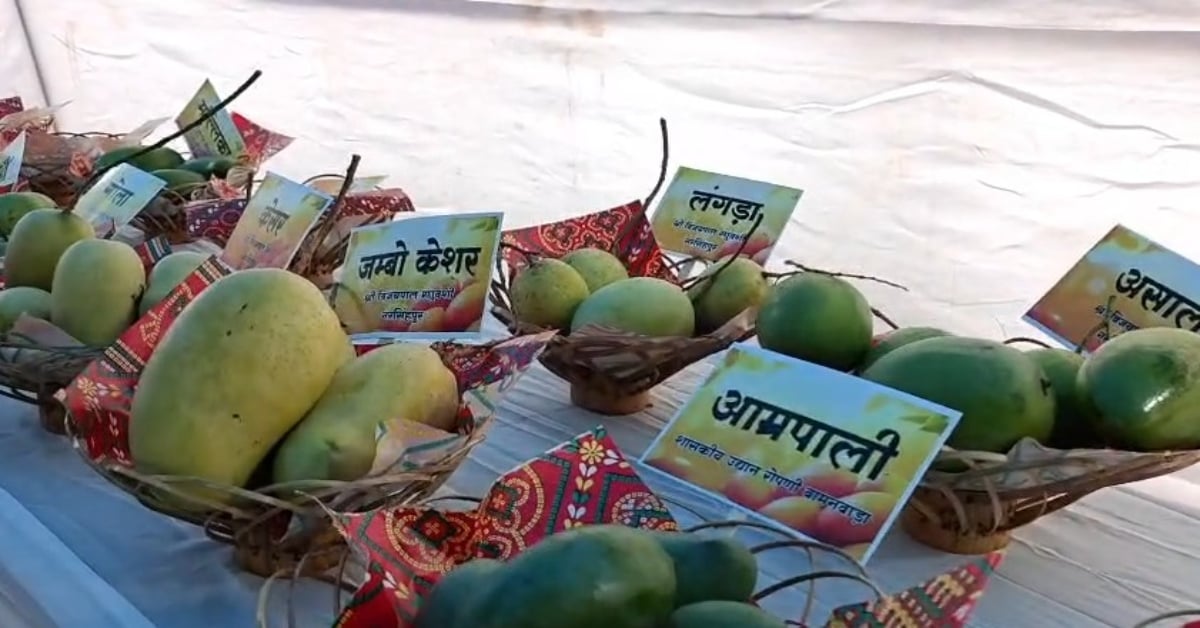 ‘रॉयल मिश्री’ और ‘सुंदरजा’ ने जमाई महफिल… सेठानी घाट पर सजी 40 से ज्यादा दुर्लभ प्रजातियां