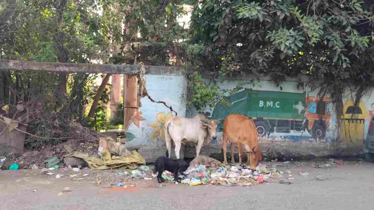 स्वच्छ सर्वेक्षण के बीच भोपाल की सड़कों पर गंदगी का बोलबाला: नंबर-1 का दावा खोखला? दिखावे की सफाई या असली बदलाव?