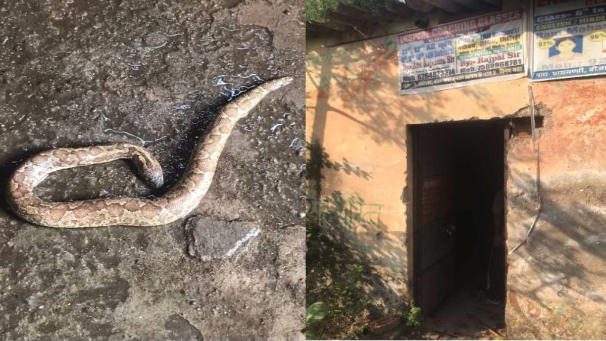 नगर निगम की बड़ी चूक: पानी की टंकी में मिला मरा हुआ सांप, 19 हजार लोग पी रहे थे दूषित पानी, मचा हड़कंप