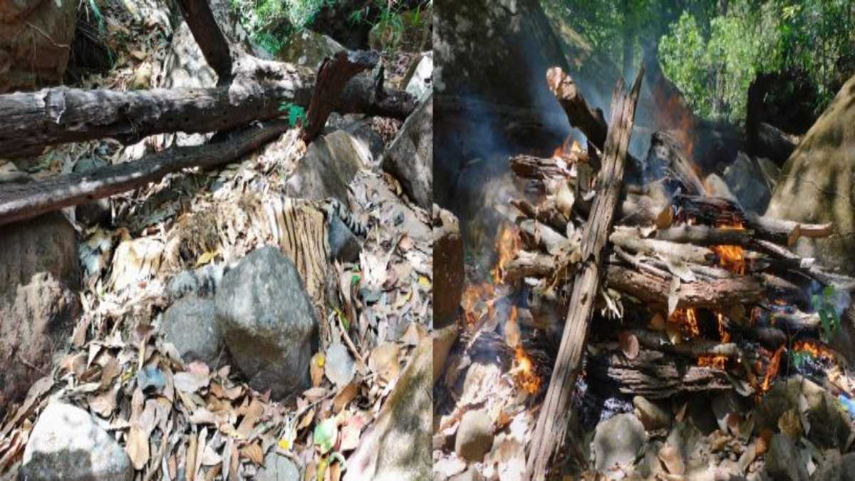 सतपुड़ा टाइगर रिजर्व में मिला बाघ का शवः प्राकृतिक मृत्यु की आशंका, टाइगर के सभी अंग सुरक्षित