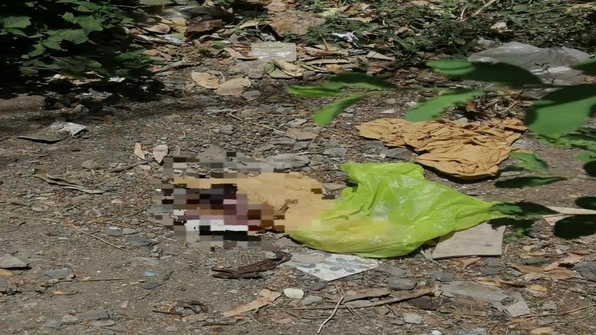 हॉस्पिटल परिसर के शौचालय में मिला नवजात का शव, सुरक्षा व्यवस्था पर खड़े हुए सवाल, CCTV फुटेज खंगाल रही पुलिस