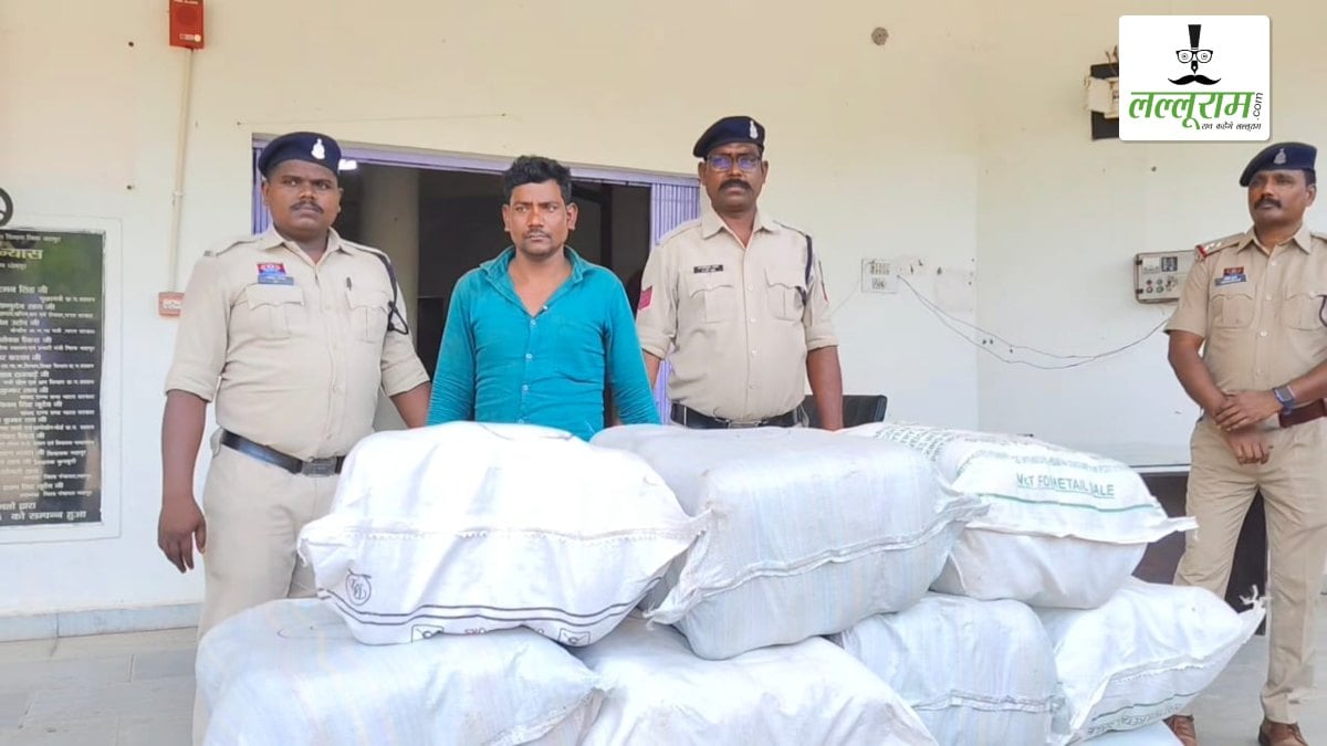 CG में 1.3 करोड़ का गांजा जब्त: पिकअप में आम के बीच हो रही थी तस्करी, एक तस्कर भी हुआ गिरफ्तार