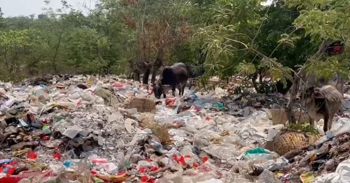 नगर पालिका की मनमानी: कचरा डंपिंग यार्ड बना ‘डेथ ज़ोन’, मासूमों की सांसों पर मंडराया संकट