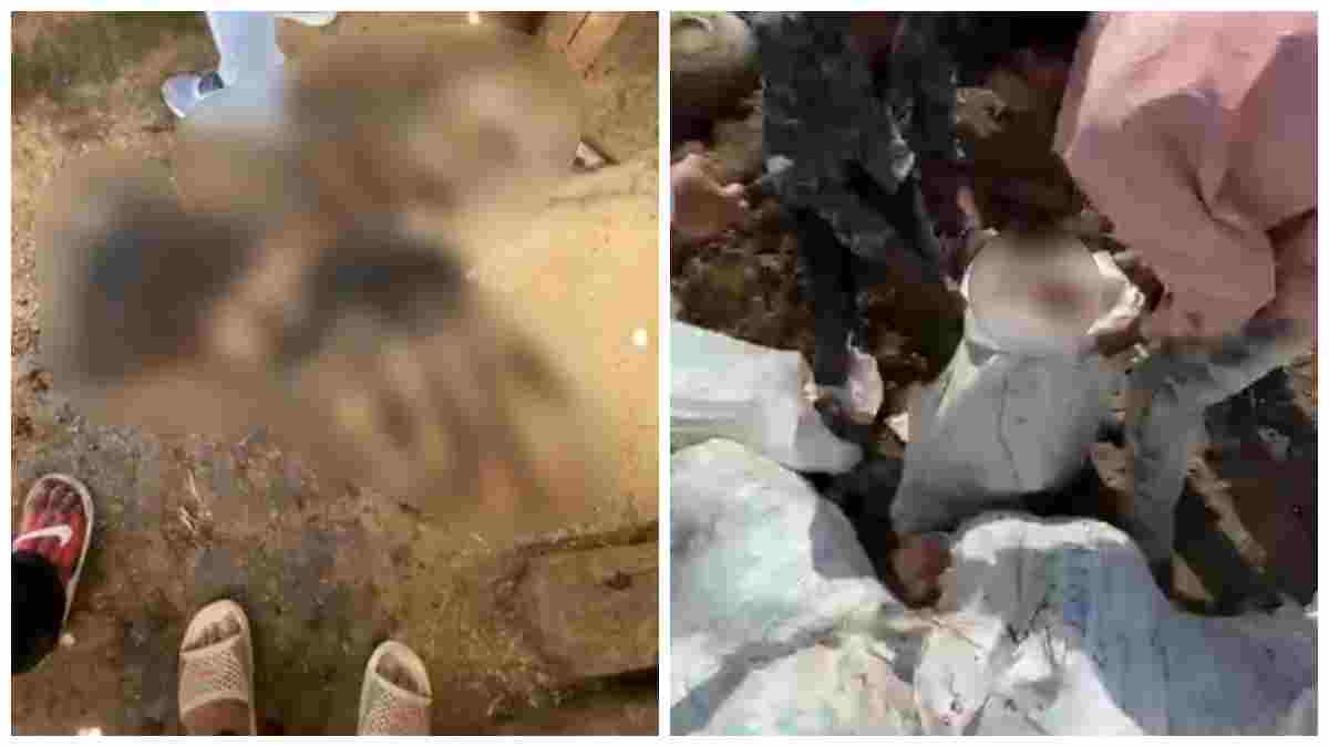 महू में गोवंश के अवशेष मिलने से हंगामा: पत्थरबाजी की सूचना के बाद थाने का घेराव, आरोपियों पर सख्त कार्रवाई की मांग 