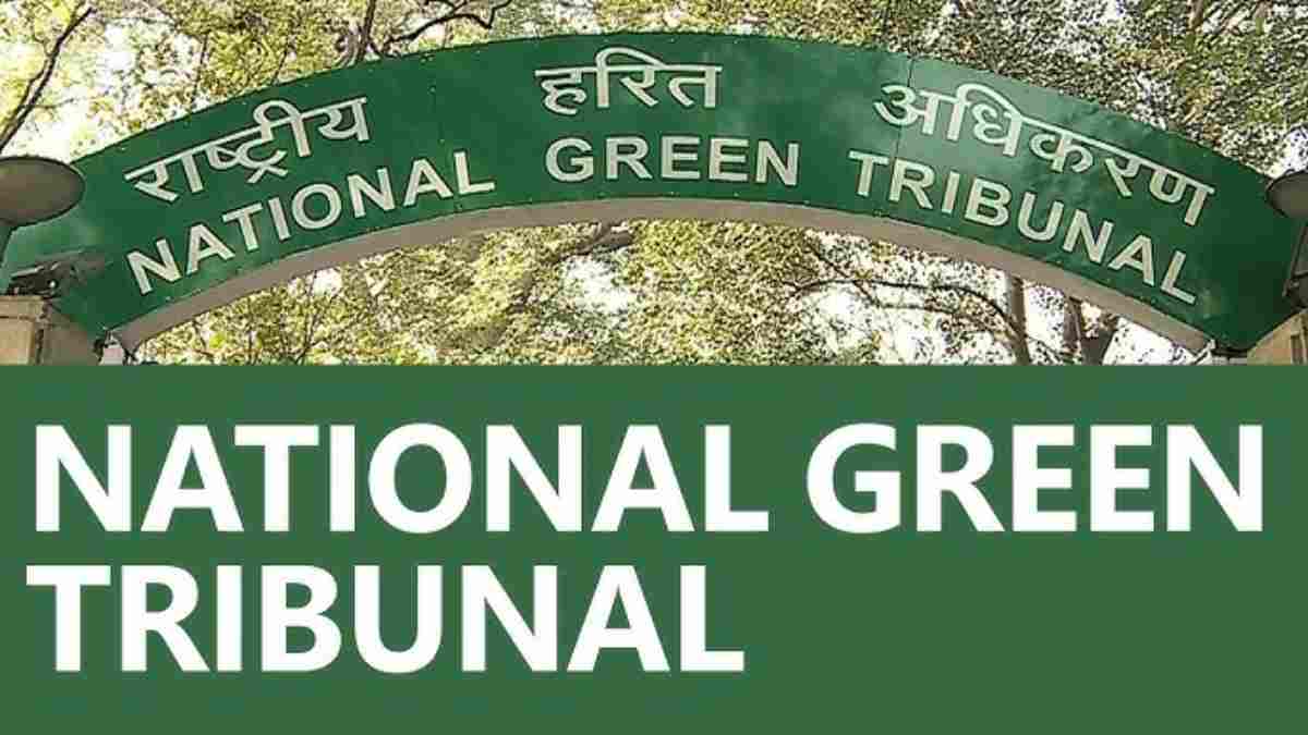 अयोध्या बायपास 10 लेन परियोजना को NGT की मंजूरी, लेकिन पेड़ों की कटाई पर सख्त शर्ते