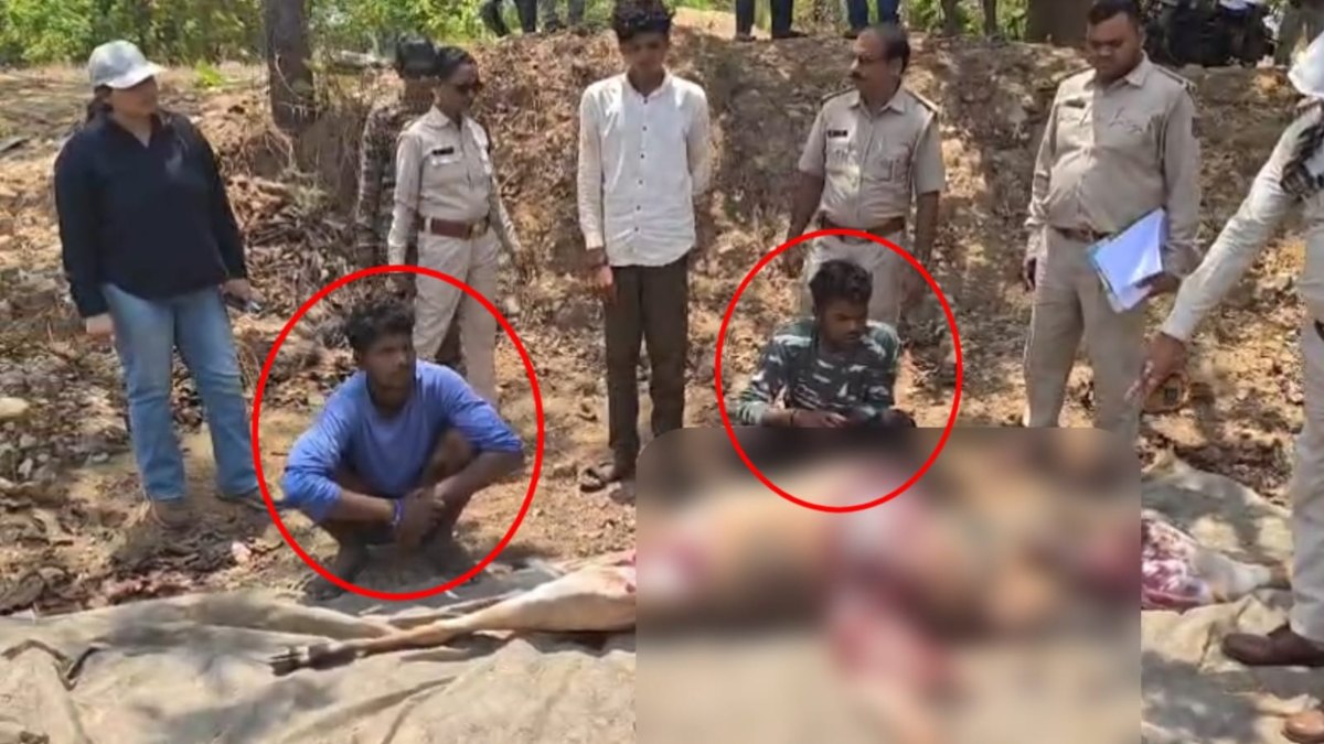 ग्रामीणों ने किया मादा नीलगाय का शिकार: पकाकर खाने की थी तैयारी, लेकिन पहुंच गई वन विभाग की टीम, 2 पकड़ाए-4 फरार