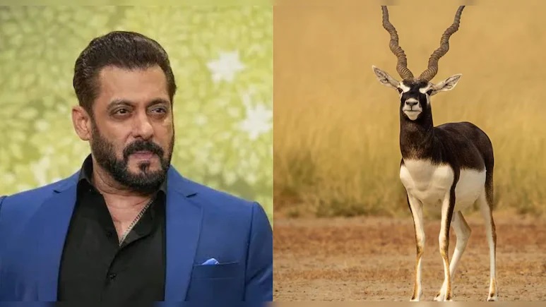 Rajasthan News: सलमान खान को राहत या बढ़ेगी मुश्किल? जोधपुर काला हिरण मामले में अब 13 जुलाई को होगा सबसे बड़ा फैसला