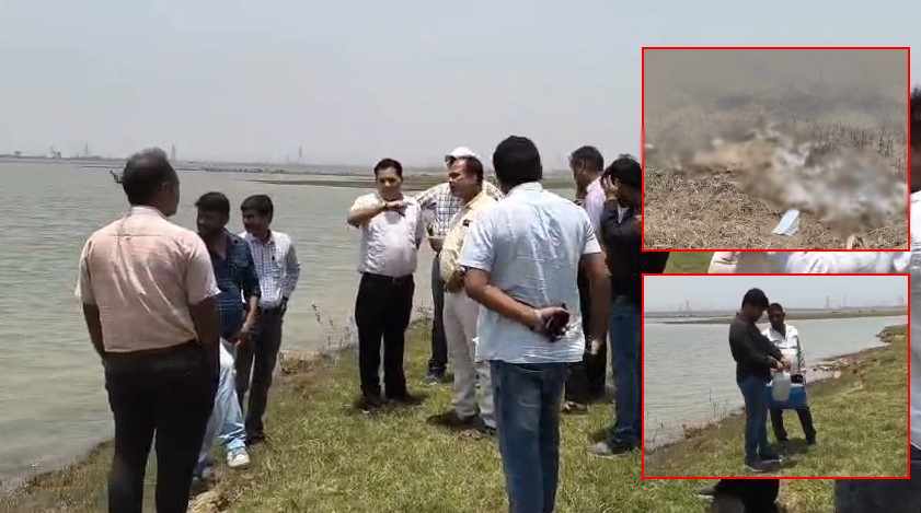 डैम में सैकड़ों मछलियों की मौत: लाखों लोगों में दहशत, महामारी की आशंका