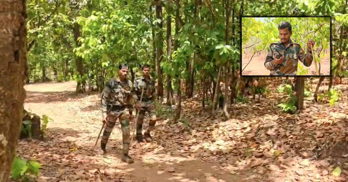 सतपुड़ा के ‘जांबाज’: टाइगर प्रोटेक्शन फोर्स ने कसी कमर, शिकारियों में खौफ और जंगलों में सुरक्षा का नया दौर