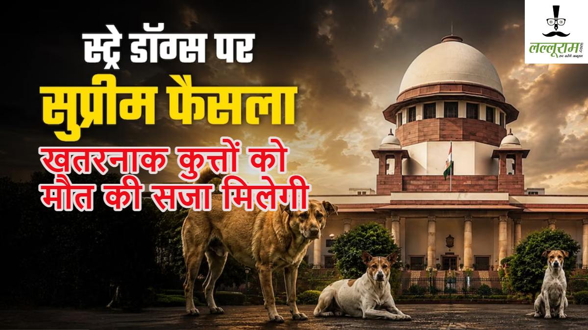 बीमार और खतरनाक कुत्तों को मौत की सजा मिलेगीः आवारा कुत्तों के मामले में सुप्रीम कोर्ट का आदेश, डॉग लवर्स और एनजीओ की याचिकाओं को खारिज किया
