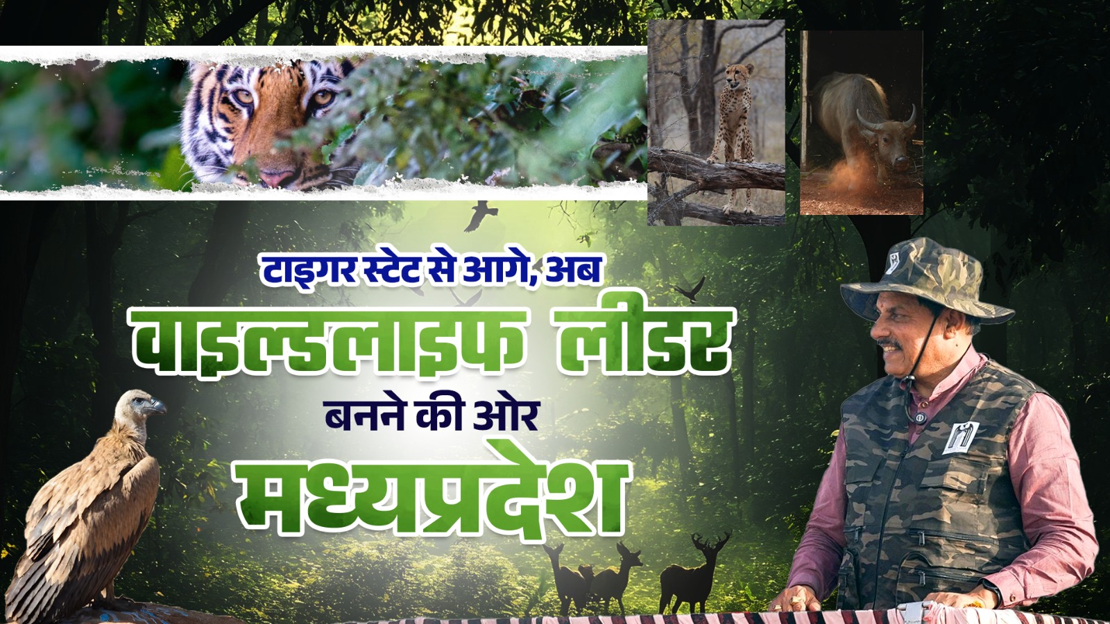 जंगल में दौड़ने को तैयार मादा चीता, टाइगर स्टेट से आगे अब MP को ‘वाइल्डलाइफ लीडर’ बना रहे सीएम डॉ. यादव