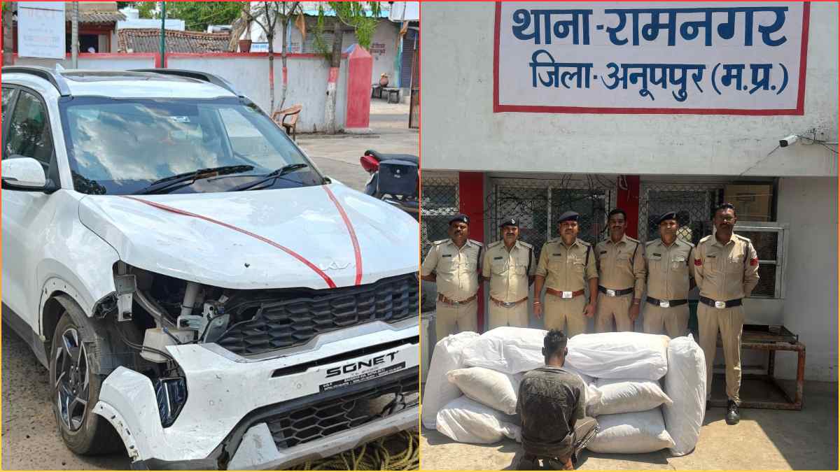 गांजा तस्करी करने 18 दिन पहले खरीदी कार! CG से MP जाने के दौरान पेड़ से हुई टक्कर, 1 करोड़ का माल बरामद