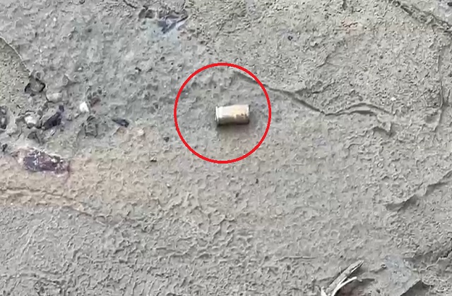 बहादुरगढ़ मुठभेड़: 10 साल की बच्ची से दरिंदगी करने वाले दो आरोपी गिरफ्तार, जवाबी फायरिंग में एक के पैर में लगी गोली