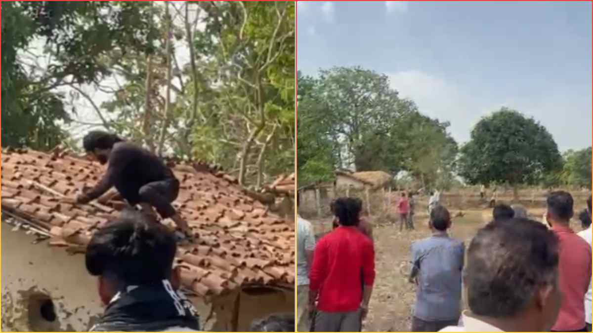 घर में घुसा तेंदुआ, प्रिंसिपल और डिप्टी रेंजर पर किया हमला, अस्पताल में भर्ती