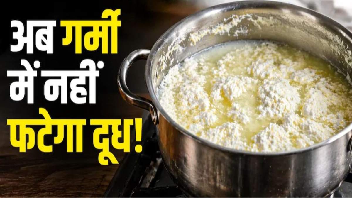 गर्मियों में बार-बार फट जाता है दूध? अपनाएं ये आसान घरेलू उपाय, लंबे समय तक रहेगा ताजा …
