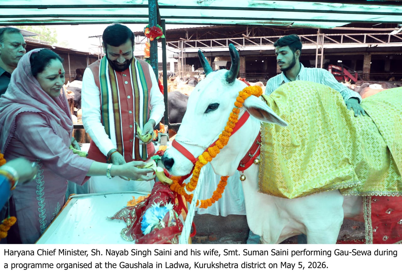 हरियाणा में अब सड़कों से गाय होंगी गायब? CM सैनी के प्लान ने सबको चौंकाया