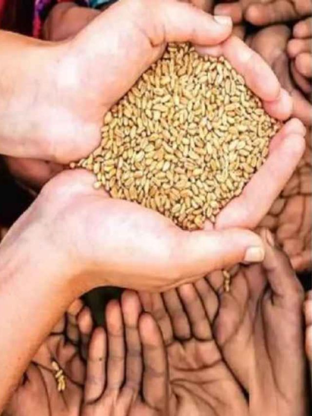 1950 में कैसे चलती थी आम आदमी की रसोई, तब कितनी थी आटा तेल की कीमत