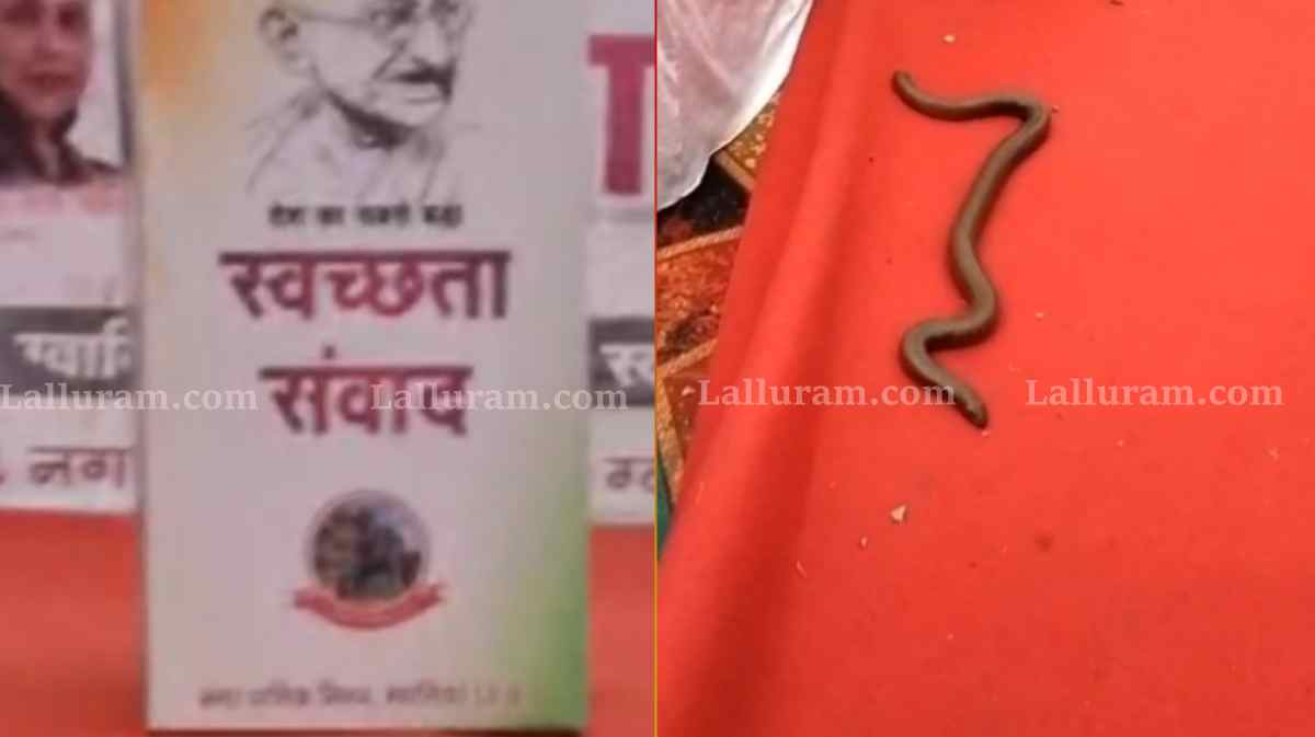 निगम के कार्यक्रम में सांप बना मेहमान! मंच की तरफ बढ़ता देख लोगों के उड़े होश, लोग बोले- स्वच्छता का संकल्प लेने पहुंचा था