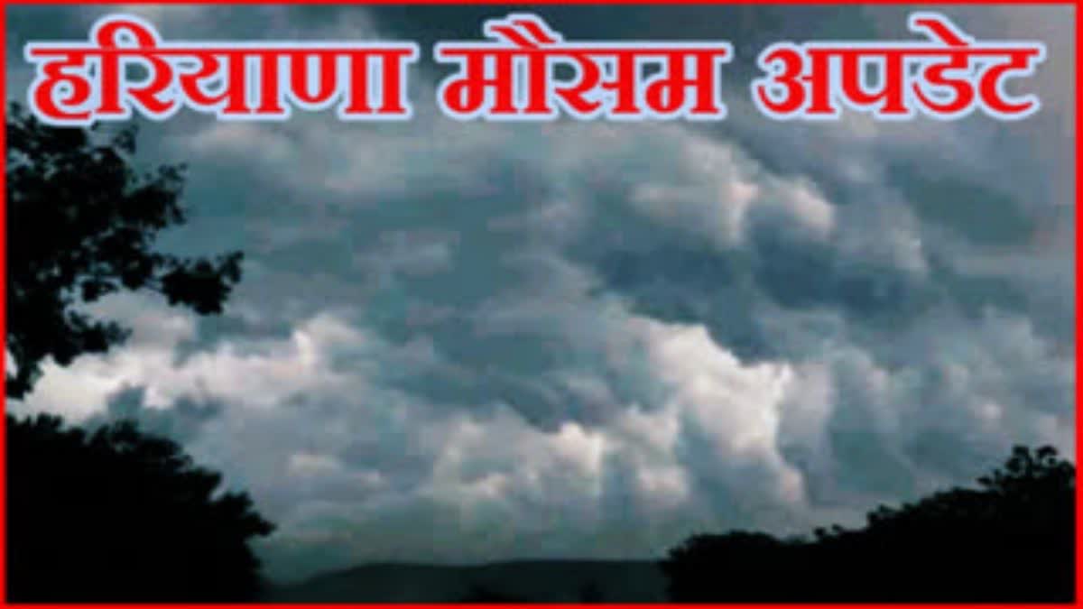 पश्चिमी विक्षोभ के असर से हरियाणा में बदला मौसम, 5 मई तक बारिश के आसार, ओलावृष्टि और बारिश से तापमान में गिरावट