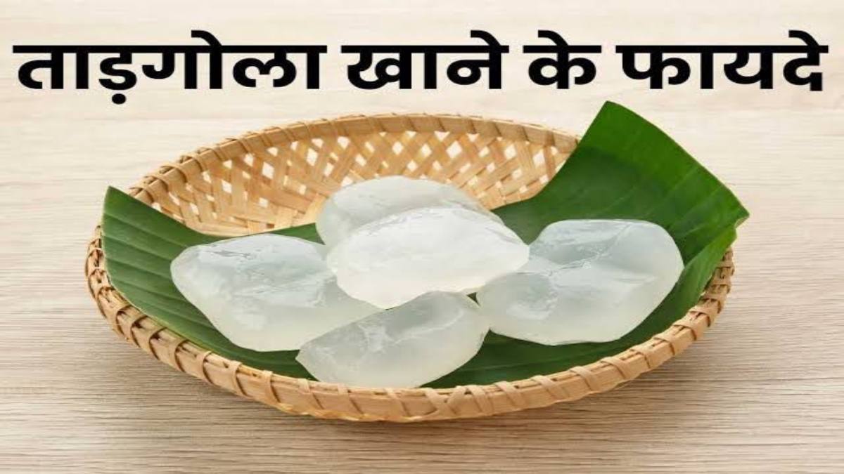 गर्मियों का सुपरफूड है ताड़गोला, जानिए क्यों बन रहा है हेल्थ का नया हीरो