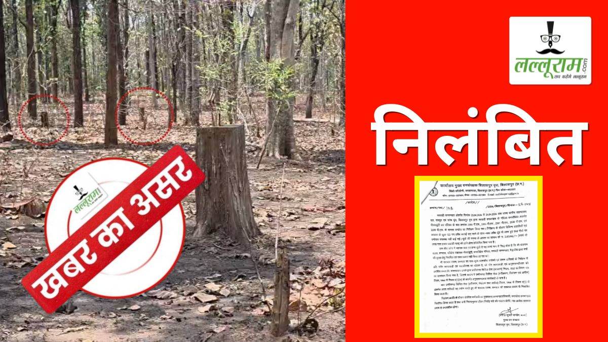 खबर का असर: सागौन-साल समेत 122 पेड़ों की अवैध कटाई मामले में डिप्टी रेंजर निलंबित, पहले बीट गार्ड पर भी हो चुकी है कार्रवाई