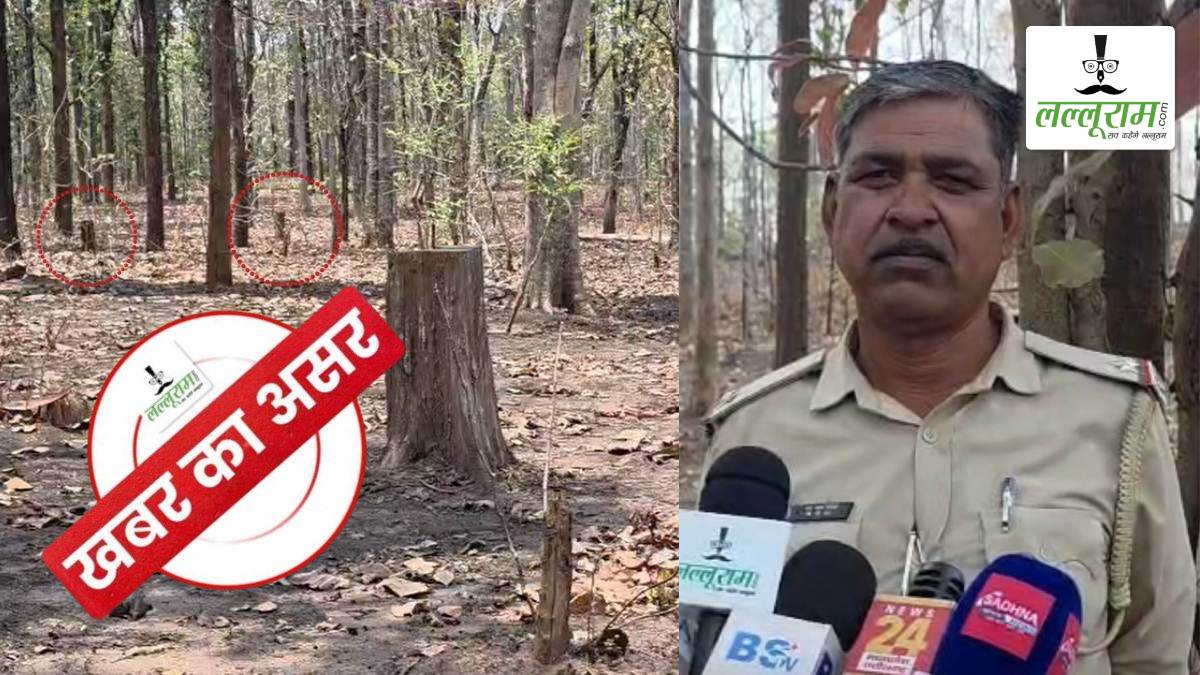 खबर का असर: सागौन-साल समेत 122 पेड़ों की अवैध कटाई मामले में डिप्टी रेंजर निलंबित, पहले बीट गार्ड पर भी हो चुकी है कार्रवाई